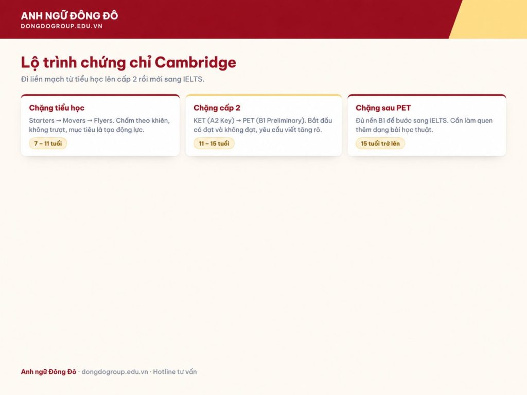 Lộ trình chứng chỉ Cambridge từ tiểu học lên cấp 2