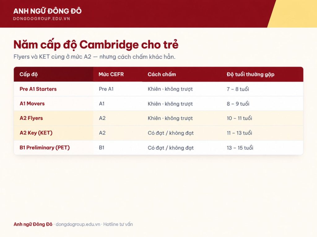 Bảng đối chiếu năm cấp độ Cambridge từ Starters đến PET